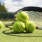 Lifestyle photo of Harbourtowne at Countrywoods branded tennis balls under tennis raquet